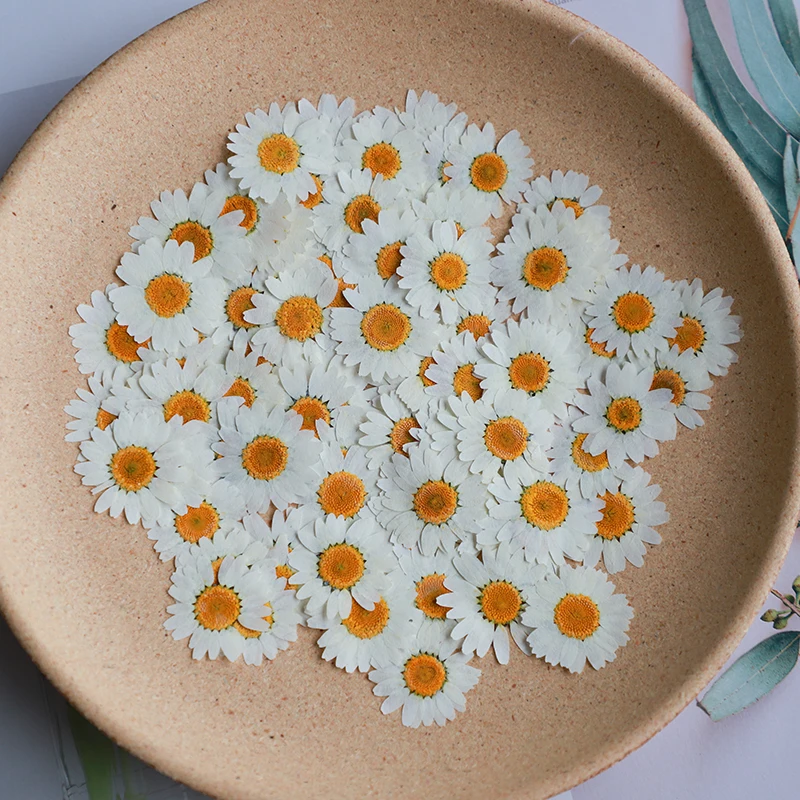 60X Pressed Dried White/Dyed C - Dried Flower Bookmark recension och pris