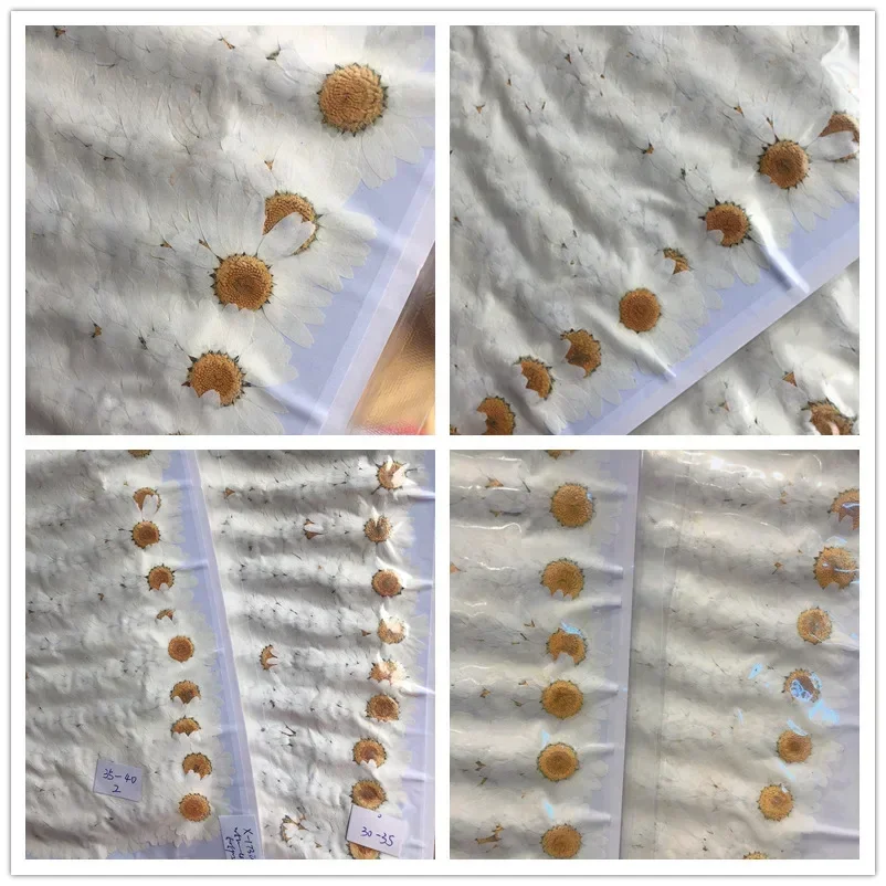 60X Pressed Dried White/Dyed C - Dried Flower Bookmark recension och pris