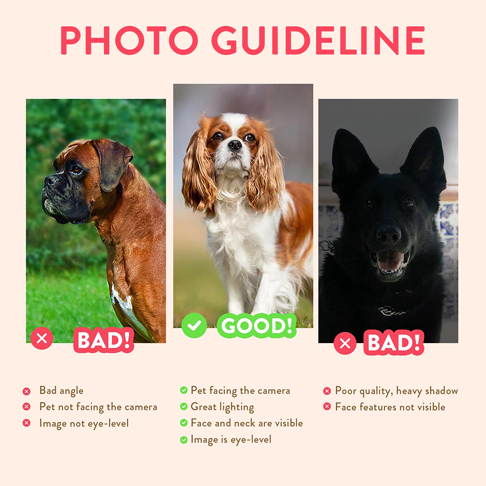 Personalized Pet Portraits Pho - Custom Map Poster recension och pris