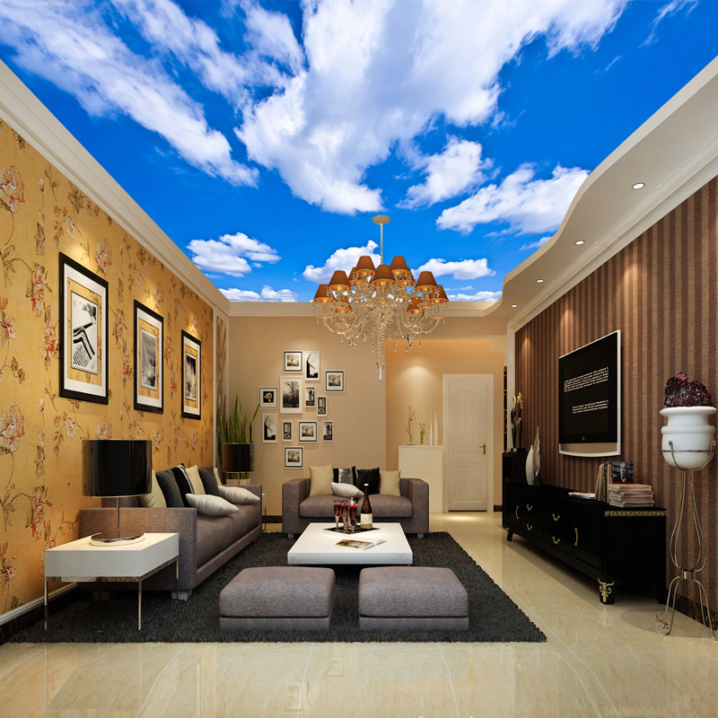 Ceiling Mural Custom 3D Photo  - Custom Map Poster recension och pris