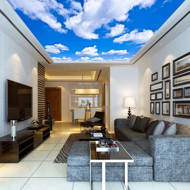 Ceiling Mural Custom 3D Photo  - Custom Map Poster recension och pris