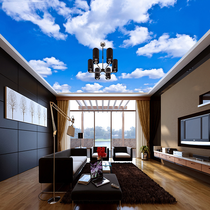 Ceiling Mural Custom 3D Photo  - Custom Map Poster recension och pris