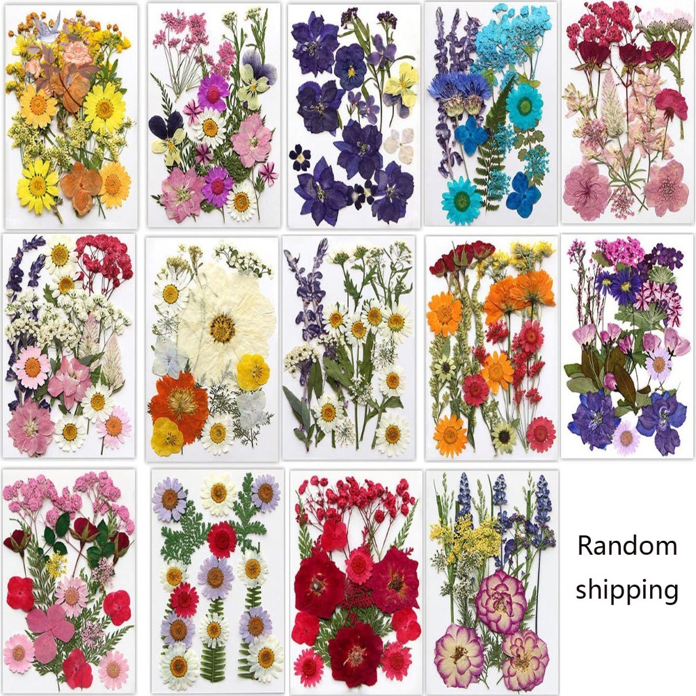 Handmade Pressed Dried Flowers - Dried Flower Bookmark recension och pris