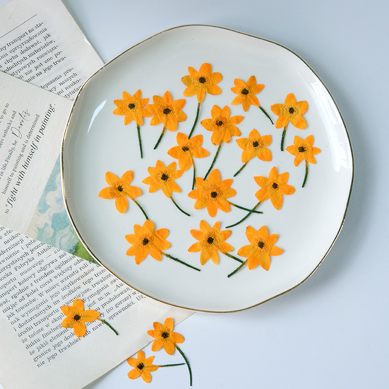 5-7cm/16PCS,Real Anemone Flowe - Dried Flower Bookmark recension och pris